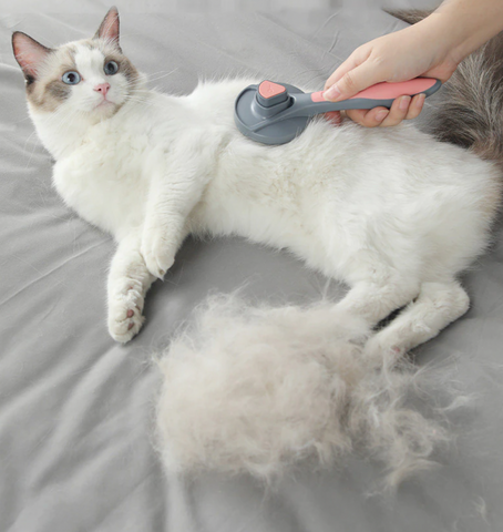 Katzenbürste - mit Federmechanismus zur einfachen Reinigung
